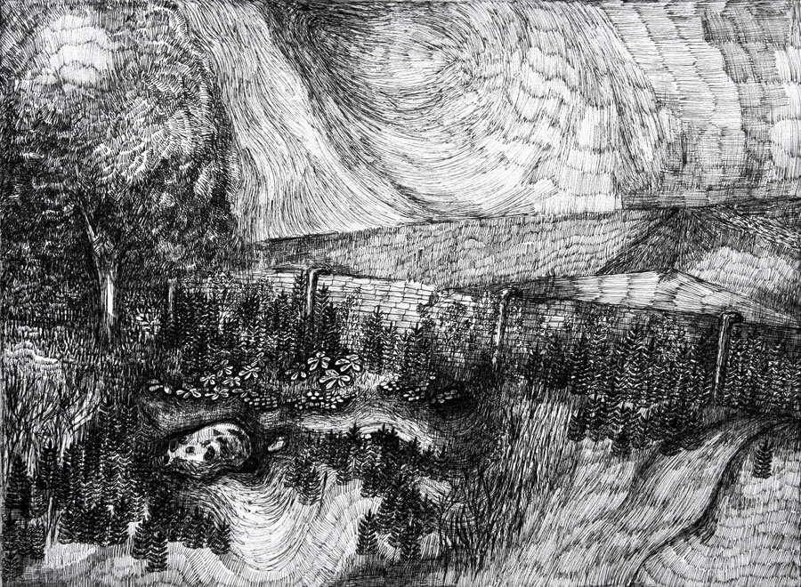 Rozemarijn Westerink - Garden, pen and ink on paper, 24 x 32 cm, 2017